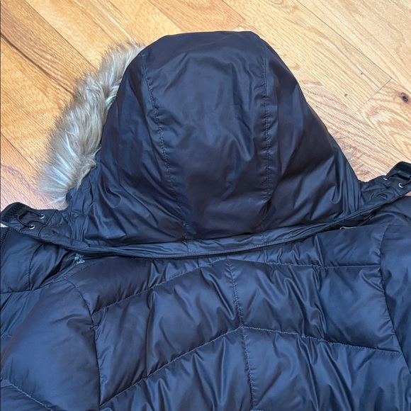 • Marmot• - Picture 9 of 10